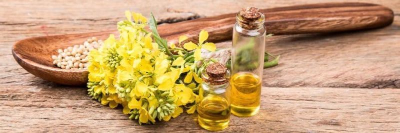 Ways To Determine You Are Buying The Right Quality Of CBD Oil