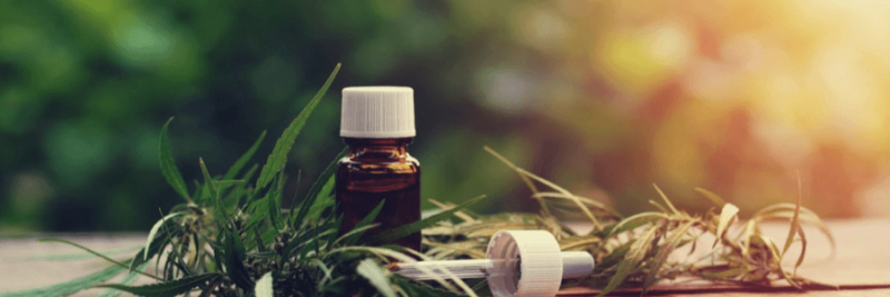The Benefits Of Using CBD Oil With THC Or Cannabis Oil
