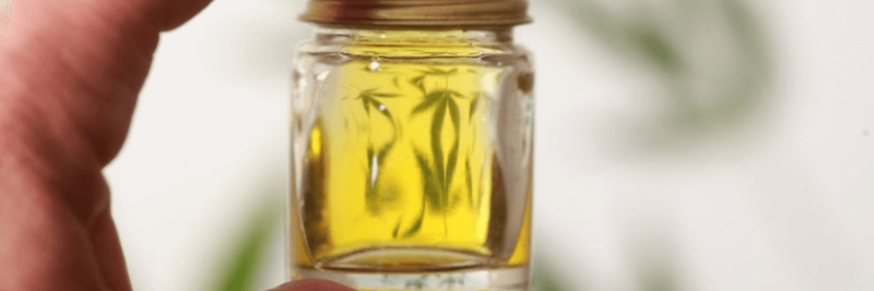 Second Thing Second, What Is Hemp Seed Oil?