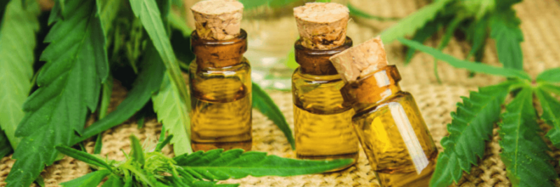 Everything You Need To Know About Hemp Oil