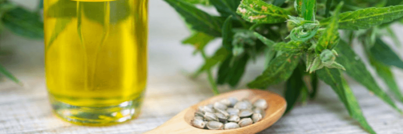 The Reasons Why You Need Hemp Oil In Your Life