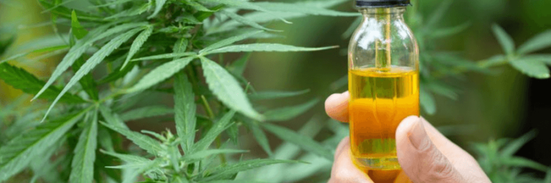 Know CBD Strength And Potency Of The Oil You Buy