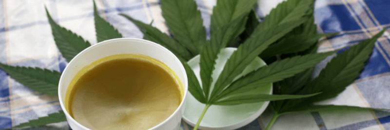 The Working Of CBD And THC In The Body