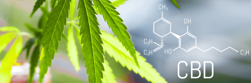As A Buyer, The Things You Should Be Aware Of The CBD Chemical