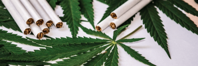 What Do We Mean By CBD Cigarettes?