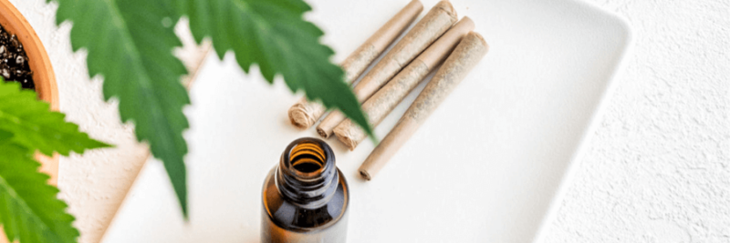 Understanding Whether Smoking CBD Cigarettes Would Be Safe For Your Health