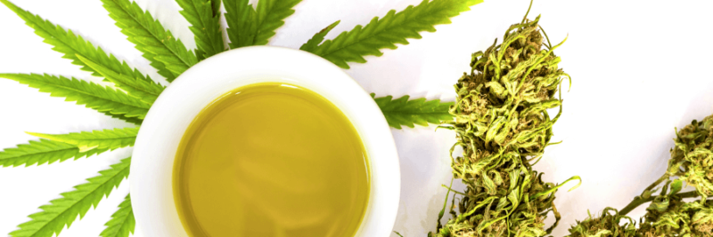 First Things First, Learn About What CBD Oil Really Is