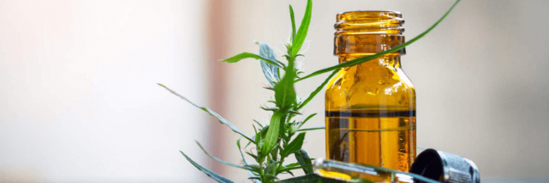 Is Using CBD Oil Safe For Human Beings?